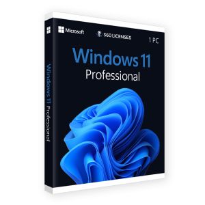 Windows 11 Professional - 1 PC